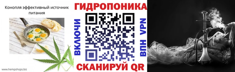 kraken зеркало  Мосальск  Cannafood конопля  где купить наркотик 