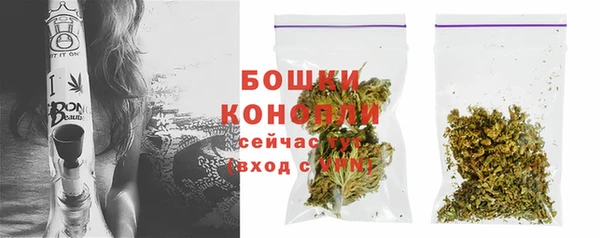 мдпв Волосово