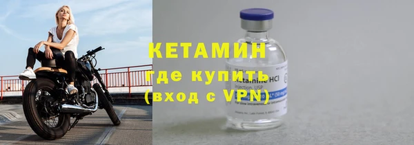 индика Сатка