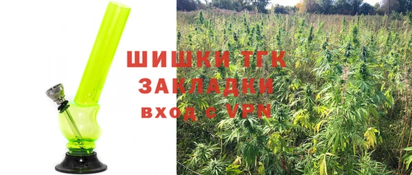 мдпв Волосово