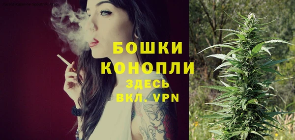 PSILOCYBIN Волоколамск