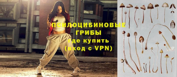 PSILOCYBIN Волоколамск