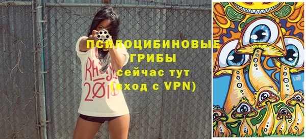 Альфа ПВП Володарск