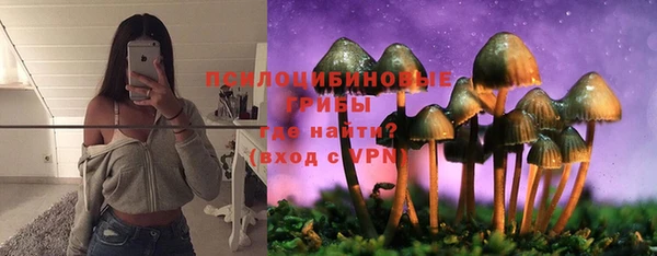 Альфа ПВП Володарск