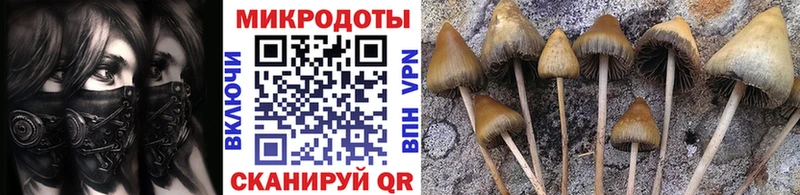 Псилоцибиновые грибы мухоморы  Мосальск 